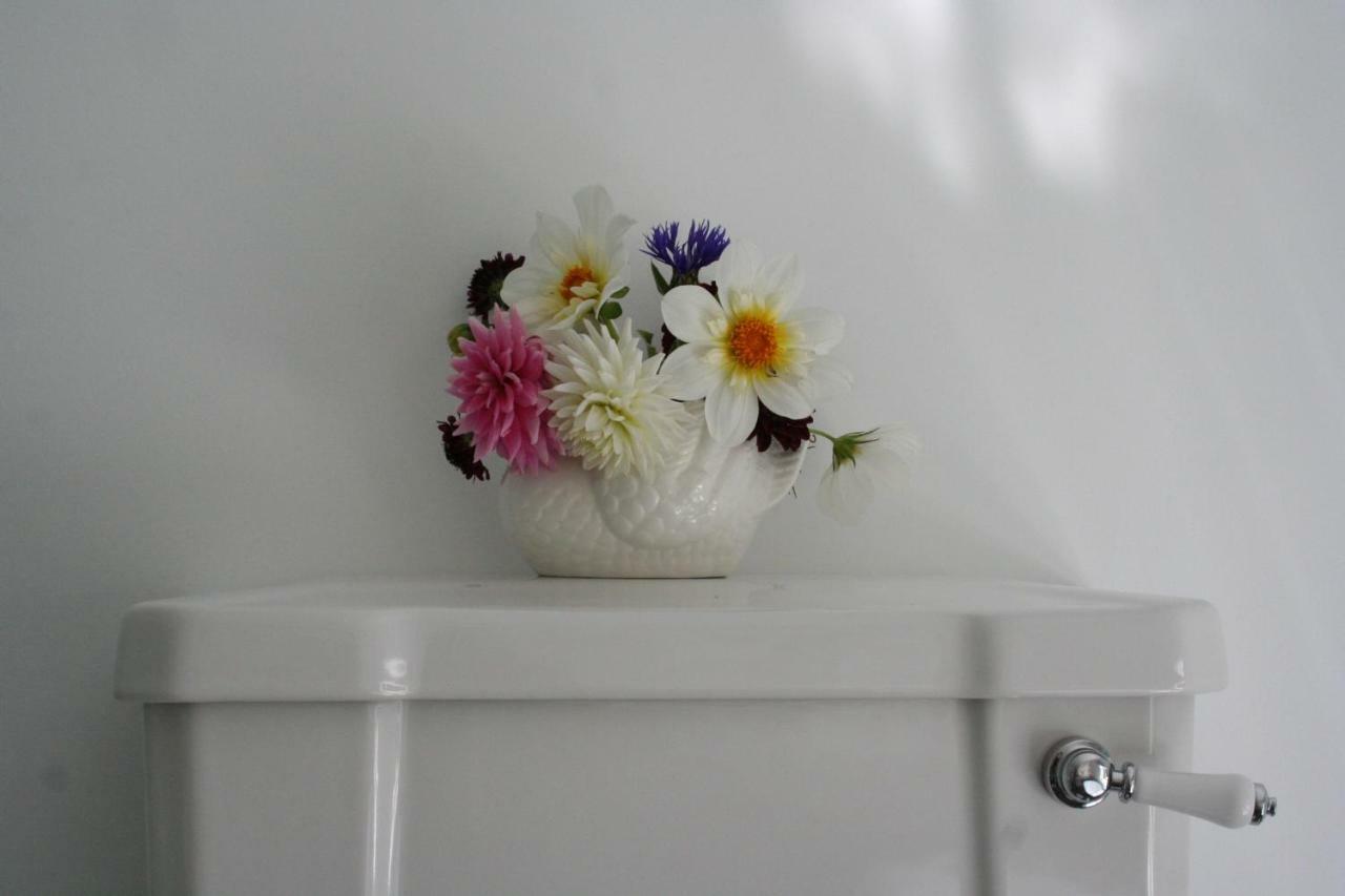 Laurella Cottage Blenheim Luaran gambar